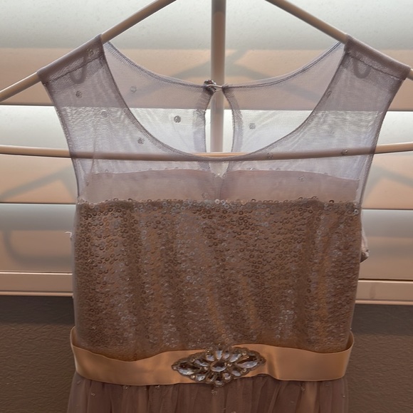 Silver sequin and mesh Iris and Ivy holiday dress - Picture 2 of 6